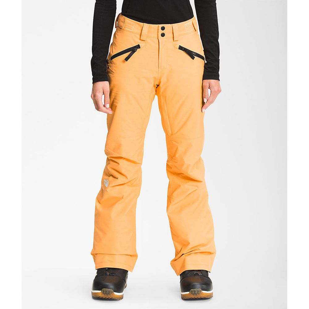 The North Face Pants Womens Australia - The North Face Aboutaday Orange (DIR-109823)